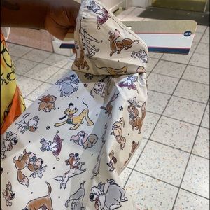 In search of Disneyworld pet raincoat